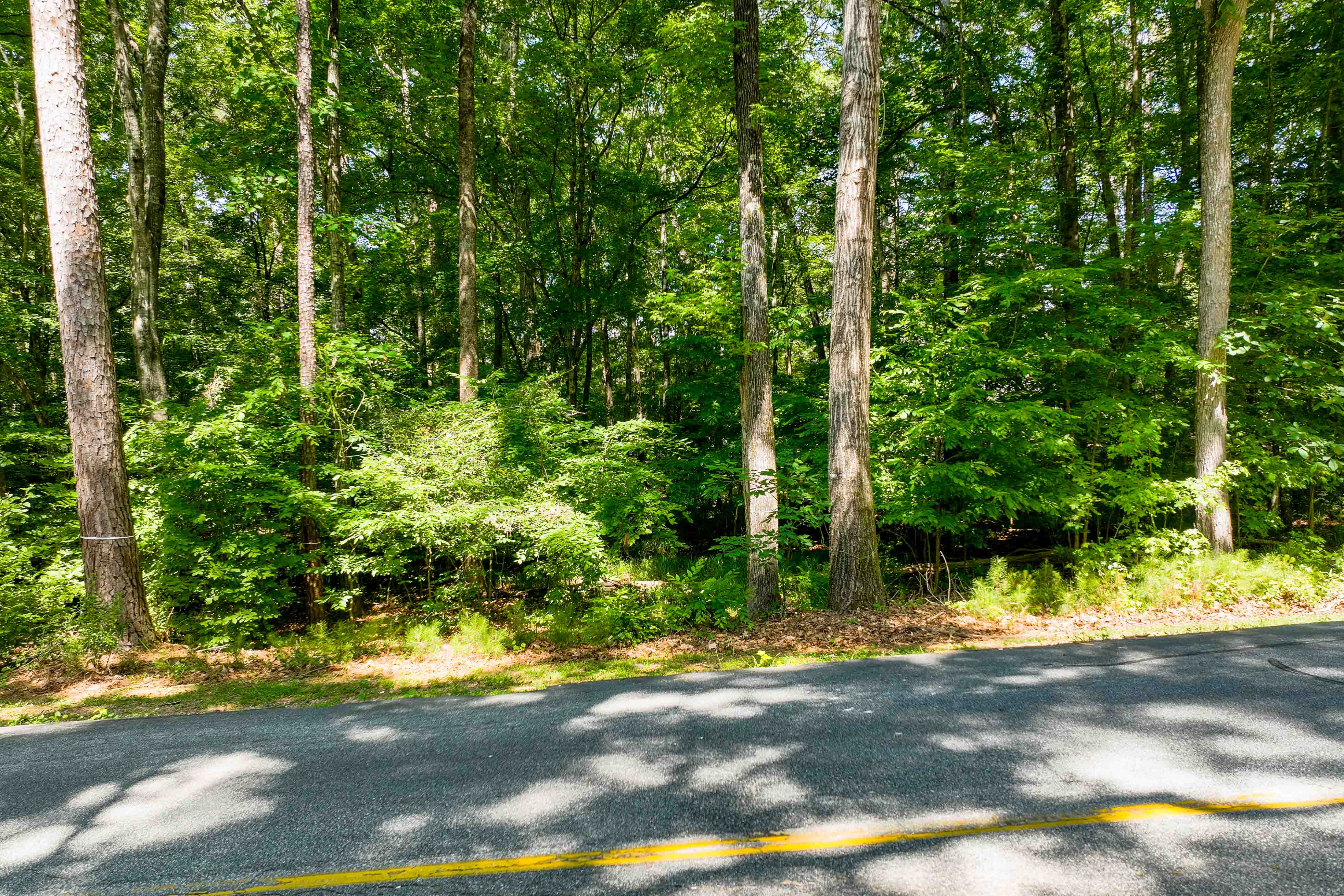 1271 Anchor Bay Drive image 3